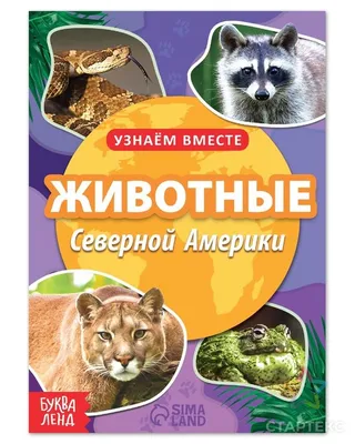 Дидактическое пособие "Животные Северной Америки" (12 карточек)  Артикул-ПД-0646