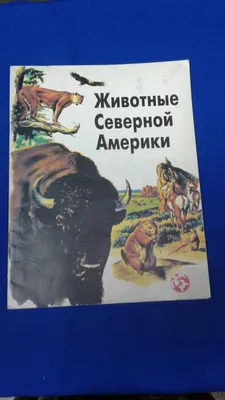 Иллюстрация 1 из 18 для Животные Северной Америки (16 карточек) | Лабиринт  - игрушки. Источник: Лабиринт