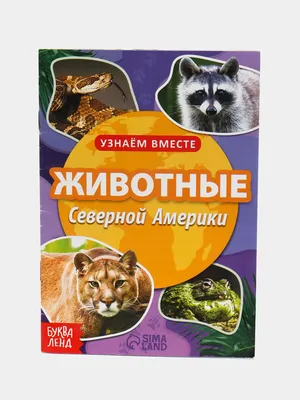 Обучающая книга "Животные Северной Америки", 20 страниц купить по цене 49 ₽  в интернет-магазине KazanExpress