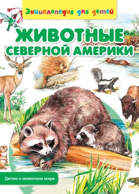 Животные Северной Америки. Плакат" — купить в интернет-магазине по низкой  цене на Яндекс Маркете