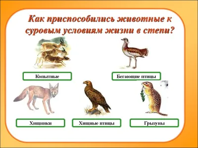 ООПТ России - степные особо охраняемые природные территории