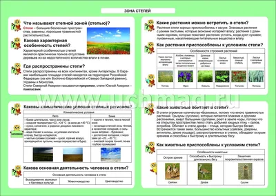 Животные Ростовской области — список, краткое описание и фотографии