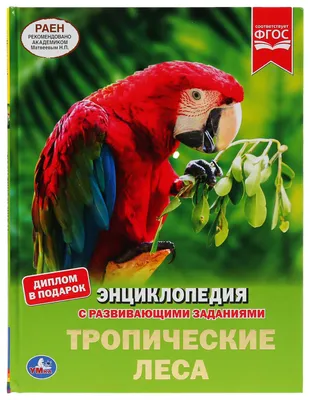 Хозяева джунглей: 5 удивительных хищников тропических лесов | Вокруг Света