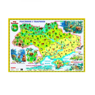 Карта Украины Растения и животные Украины 65х45 см М 1:3 000 000  ламинированный картон (ID#1971056097), цена: 138 ₴, купить на 