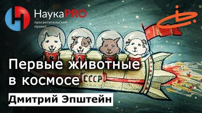 Что случилось с животными в космосе - история Лайки и Белки и Стрелки |  Сегодня