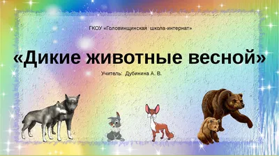 Животные весной worksheet | Live Worksheets