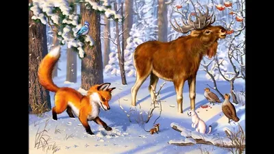 Животные зимой для детей картинки
