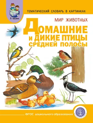 Развитие речи. Тематический словарь в картинках. Мир животных: «Домашние  животные», «Дикие животные средней полосы», «Дикие животные (звери) и птицы  жарких и холодных стран», «Домашние птицы», «Дикие птицы средней полосы»,  «Насекомые», «Земноводные и