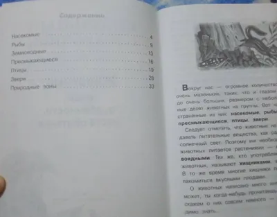 КАРТОЧКИ МОНТЕССОРИ НАБОР «Птицы» – купить за 990 руб | Монтессори Кроха