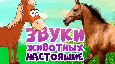 Скачать Звуки животных 1.2 для Android