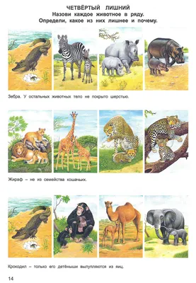 Купить MPZCAN20-M Collection ANIMALS. Животные Африки.200 деталей. Размер  20,5 х 29см. Средний размер детал Пазлы и 3Д пазлы - цена от 581 ₽ в Алуште