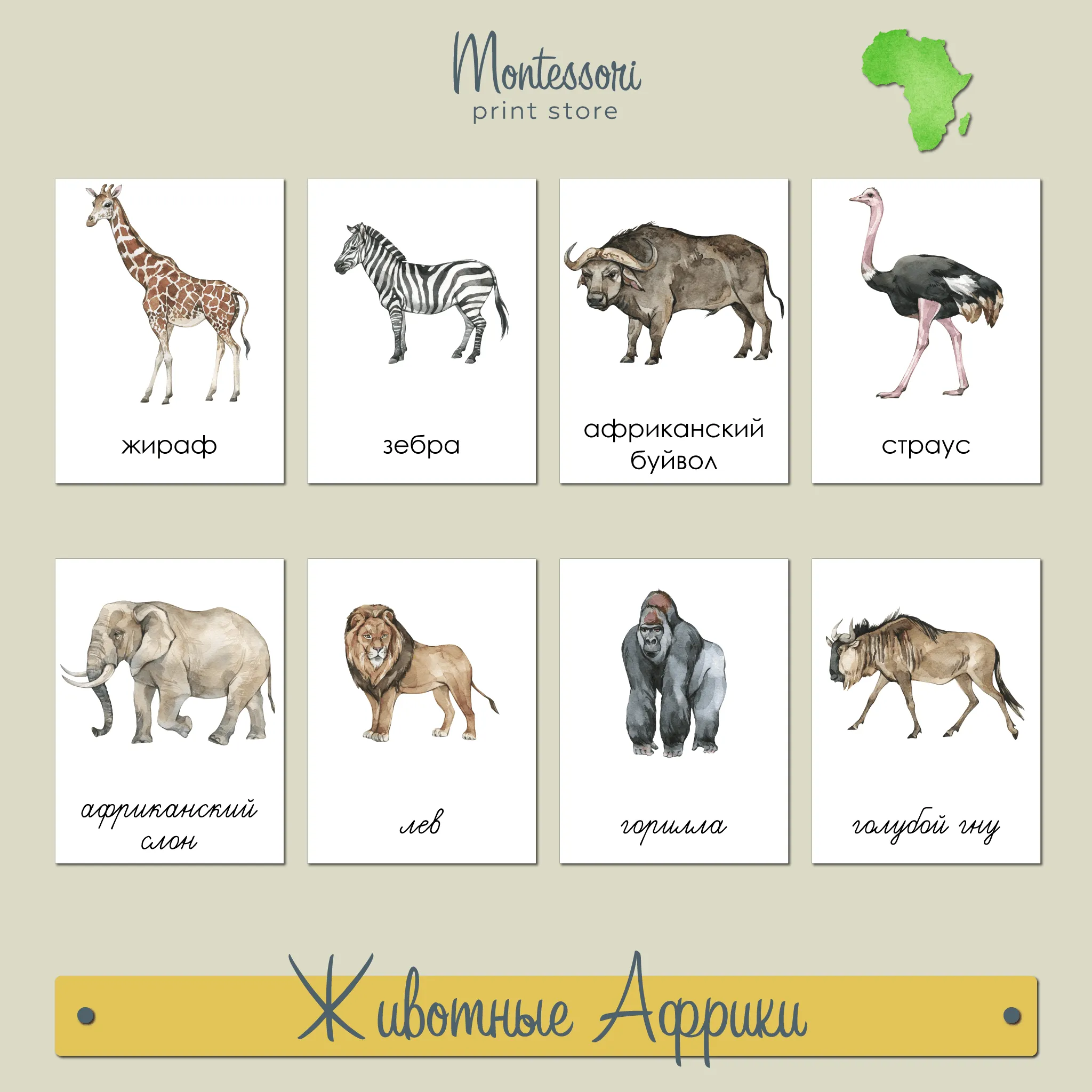 Кто живет в африке животные. Карточки. Животные Африки. Карточки с животными Африки. Животные Африки карточки для детей. Карточки Домана животные Африки.