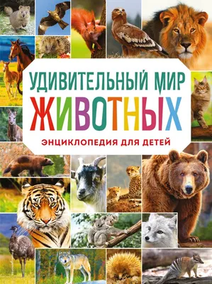 Книга Удивительный мир животных. Энциклопедия для детей - купить детской  энциклопедии в интернет-магазинах, цены на Мегамаркет |