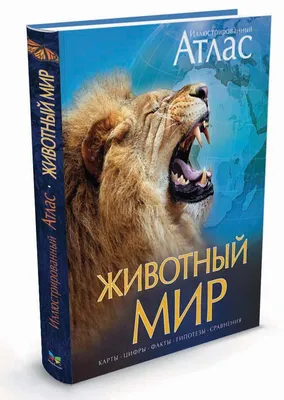 Животный мир. Иллюстрированный атлас | Флорес Синтия, Гинзберг Джошуа -  купить с доставкой по выгодным ценам в интернет-магазине OZON (27825331)