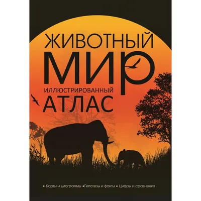 Книга Животный мир шести континентов, Иллюстрированная энциклопедия -  купить детской энциклопедии в интернет-магазинах, цены на Мегамаркет |  6900837