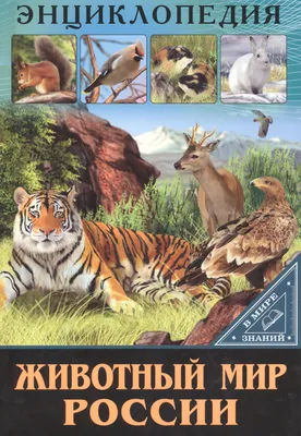 Животный мир россии (Оксана Балуева) - купить книгу с доставкой в  интернет-магазине «Читай-город». ISBN: 978-5-37-827556-4