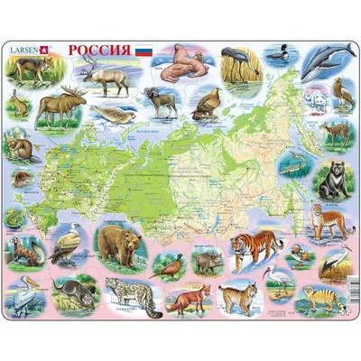 Животный мир России купить по низким ценам в интернет-магазине Uzum (862196)