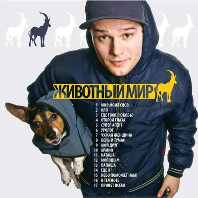 Макс Корж (Max Korzh) - Животный мир (Animal World) Lyrics and Tracklist |  Genius