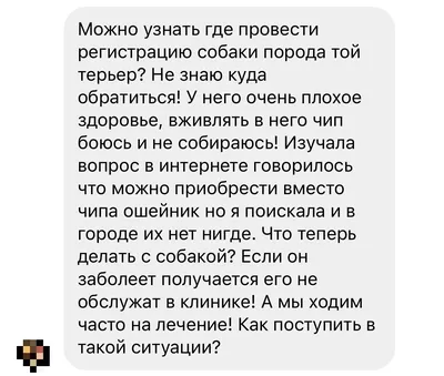 Чипирование домашних животных не должно быть монополизировано - юрист |  Kazakhstan Today