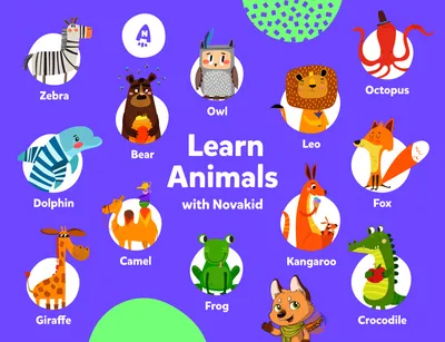 Английский язык для детей животные | Животные, Маленькие свадебные букеты, Английский  язык