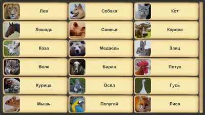 Animals: план урока о мире животных для детей