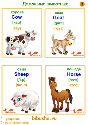 Обучающие карточки по методике Г. Домана «Домашние животные на английском  языке», 12 карт, А6 купить, отзывы, фото, доставка - 