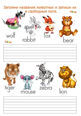 Английский язык для детей животные | Животные, Маленькие свадебные букеты, Английский  язык
