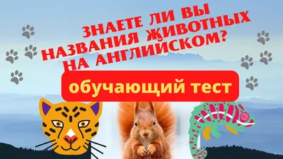 Прописи. Английский в стихах и картинках: животные. Для детей 6-7 лет –  купить по цене: 27 руб. в интернет-магазине УчМаг