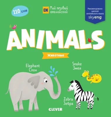 Животные на английском языке: названия диких и домашних зверей с  транскрипцией и переводом