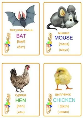 Названия различных животных на английском языке