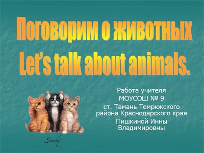 Урок-игра "Поговорим о животных" ("Let's talk about animals"). 3-й класс