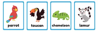 Карточки с картинками "Животные" на английском языке | Английский язык,  Карточки с картинками, Английский