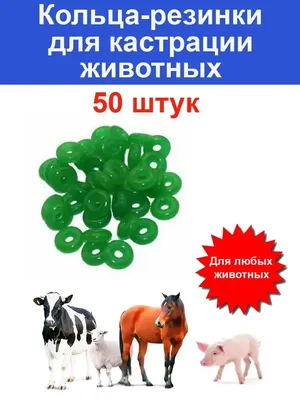 Купить KLINVER Устройство для удаления клещей, 2 шт. - доставка, цена и  наличие в интернет-магазине и аптеках Доктор Вет