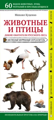 Ученые назвали число птиц на Земле - Газета.Ru