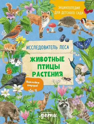 Набор животных Домашние птицы, 5 шт., кор. | Интернет-магазин детских  игрушек 