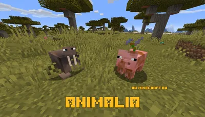 10 самых полезных животных из реальной жизни в Minecraft | Все для Minecraft  |  | Дзен