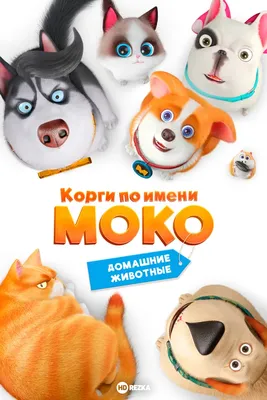 Топ-10 лучших мультфильмов про животных по версии Okko - OKKOLOKINO