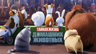 25 ярких и увлекательных мультфильмов про животных - Лайфхакер