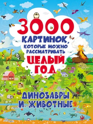 10 диких животных, которых можно держать дома — блог туриста Dasha1553 на  Туристер.Ру