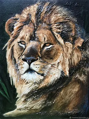 Царь животных лев - 73 фото