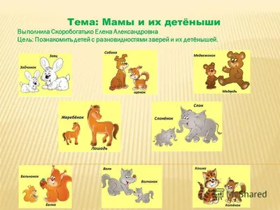 Что должен знать ребенок о животных | Мама Юля. Мой мир. | Дзен