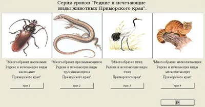 Иллюстрация 1 из 6 для Календарь на 2018 год, настенный, перекидной,  СТАНДАРТ "Животные родного края" (12Кнп4_14462) | Лабиринт - сувениры.  Источник: Лабиринт