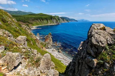 Сихотэ-Алинь: дикий край краснокнижных животных Приморского края -  