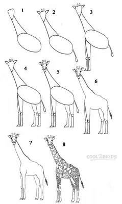 Научиться рисовать животных – Как нарисовать животных поэтапно карандашом |  Giraffe drawing, Easy drawings, Drawing lessons