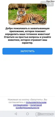 Приложение VK Тотемное животное - «Собрала небольшую коллекцию образов с  разными животными. Увлекательное развлечение на каждый день.» | отзывы