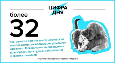 Лэпбук «Правила безопасности при контакте с животными» (4 фото).  Воспитателям детских садов, школьным учителям и педагогам - Маам.ру