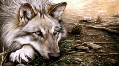 В Чернобыле показали вышедшего на охоту волка - Pets