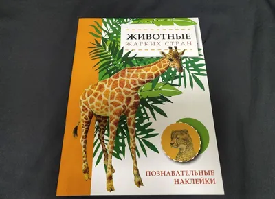 Обучающие карточки «Изучаем английский. Животные жарких стран», 16 штук, 3+  (1262698) - Купить по цене от  руб. | Интернет магазин 