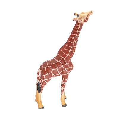 Раскраски дикие животные жираф (66 фото) » Картинки, раскраски и трафареты  для всех - 