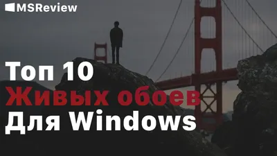 Топ 10 Живых обоев » MSReview